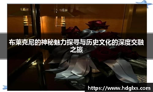 布莱克尼的神秘魅力探寻与历史文化的深度交融之旅