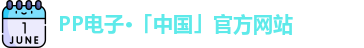 PP电子